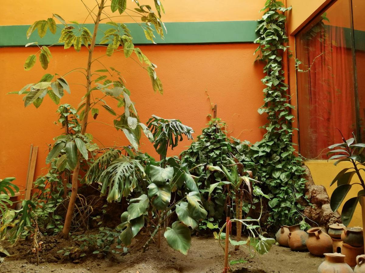 Olas Del Titicaca Backpackers Hostel Copacabana  Eksteriør bilde